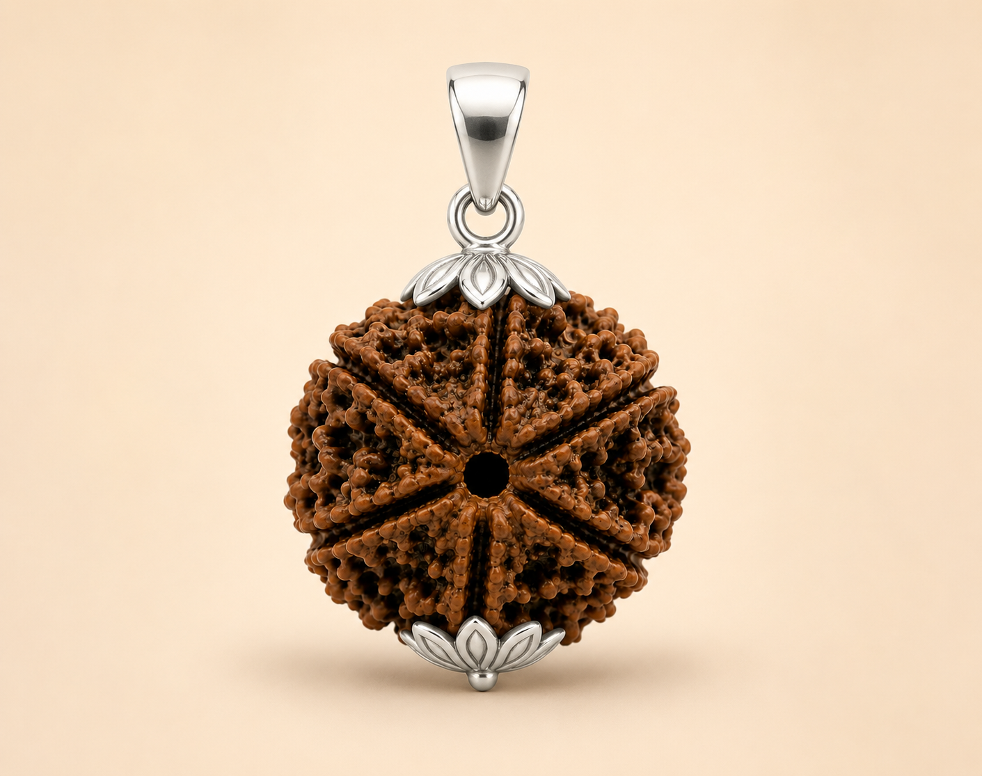 6 Mukhi Rudraksha ( Nepal Origin )